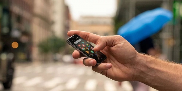 Rekarnasi Palm Hadir Dalam Bentuk Yang Mengelirukan