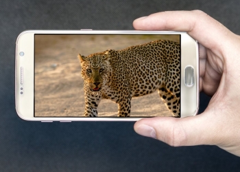 Google buang dua aplikasi popular ini kerana menipu pengguna