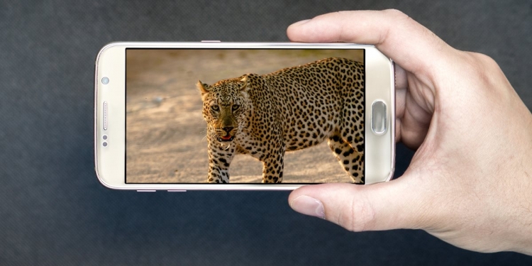 Google buang dua aplikasi popular ini kerana menipu pengguna