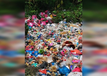 Kenapa Puluhan Beg Makanan Food Panda Dibuang Ditepi Jalan?