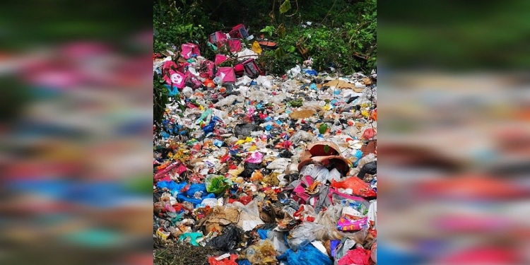 Kenapa Puluhan Beg Makanan Food Panda Dibuang Ditepi Jalan?