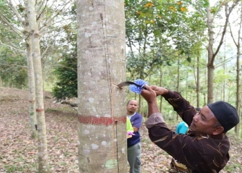 Amerika Syarikat akui Malaysia penyelamat dunia dalam memerangi COVID-19