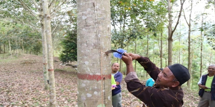 Amerika Syarikat akui Malaysia penyelamat dunia dalam memerangi COVID-19