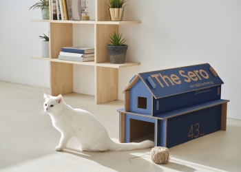 Kotak televisyen mesra alam Samsung boleh diubah jadi rumah kucing