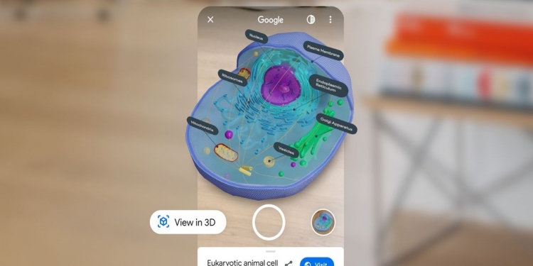 Google Search bawa pembelajaran anatomi dan muzium maya dalam 3D dan AR