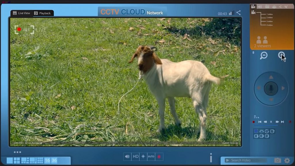 Bagaimana teknologi berjaya menemui Tok Ucu dan Sambal Goreng 