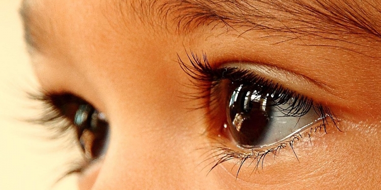 Saintis dapati melihat cahaya merah baik untuk mata, ini penjelasan mereka