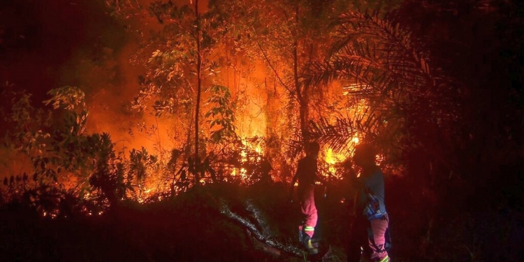 Wilayah di Indonesia isytihar darurat selama 3 bulan akibat kebakaran hutan