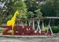 Menderma ke Zoo Negara melalui program haiwan angkat dalam talian