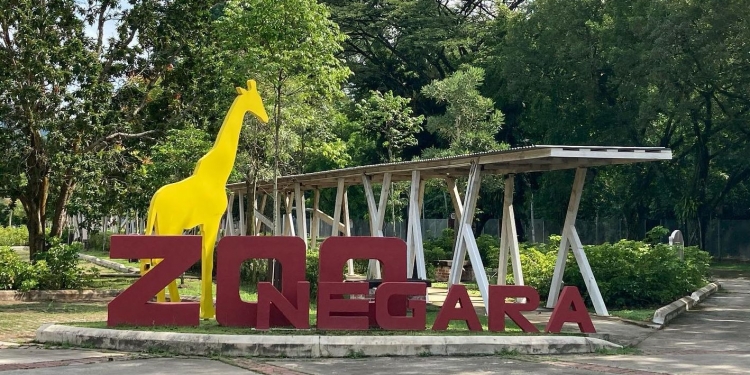 Menderma ke Zoo Negara melalui program haiwan angkat dalam talian