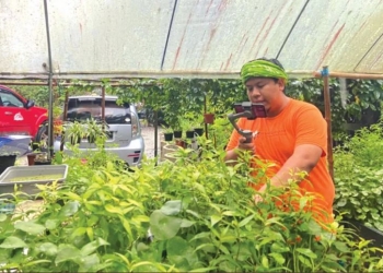 Pelancong luar negara melawat tarikan di Kelantan menggunakan Zoom