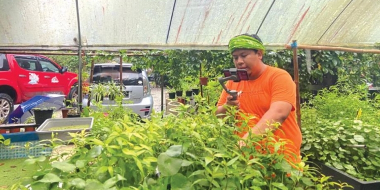 Pelancong luar negara melawat tarikan di Kelantan menggunakan Zoom