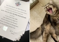 Kucing peliharaan kunyah sijil Ijazah tuan, tular di Twitter