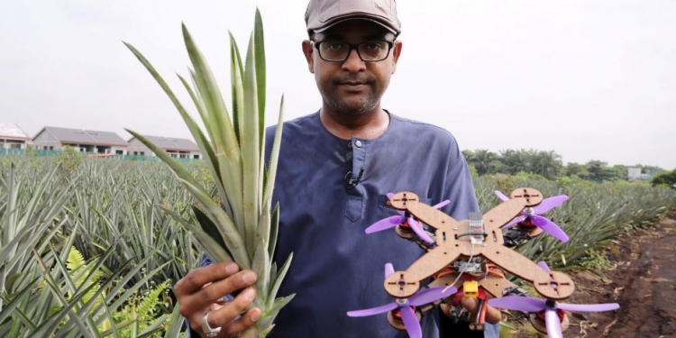 Penyelidik UPM guna sisa nenas hasilkan rangka dron, alternatif bantu kurangkan sisa buangan