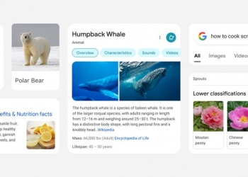 Google perkemas enjin carian versi mudah alih dan ini perkara yang akan anda lihat