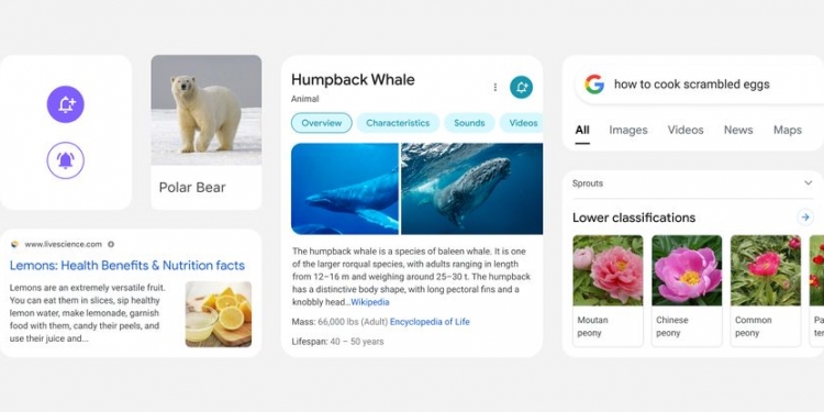 Google perkemas enjin carian versi mudah alih dan ini perkara yang akan anda lihat