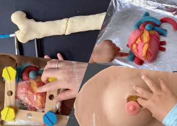 Simulasi bedah ini guna tanah liat dan anda perlu tontonnya