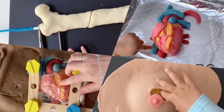 Simulasi bedah ini guna tanah liat dan anda perlu tontonnya