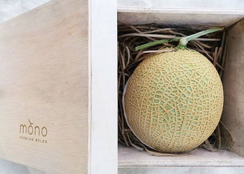 Tembikai muskmelon termahal di dunia ada ditanam di Putrajaya, kenapa ia mahal?