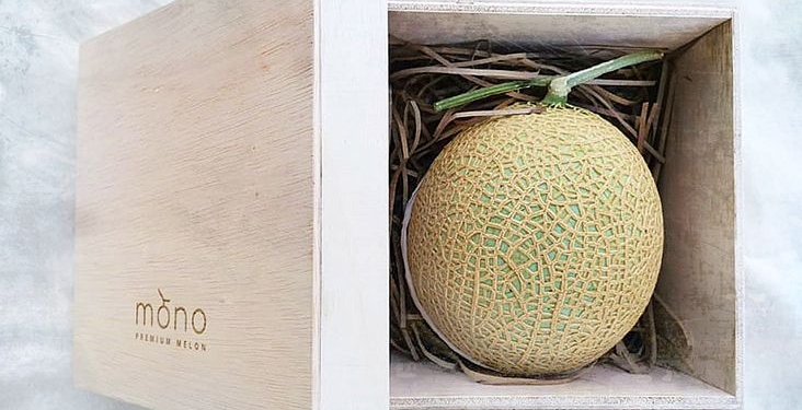 Tembikai muskmelon termahal di dunia ada ditanam di Putrajaya, kenapa ia mahal?