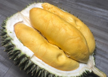Selamatkah makan durian selepas vaksin?