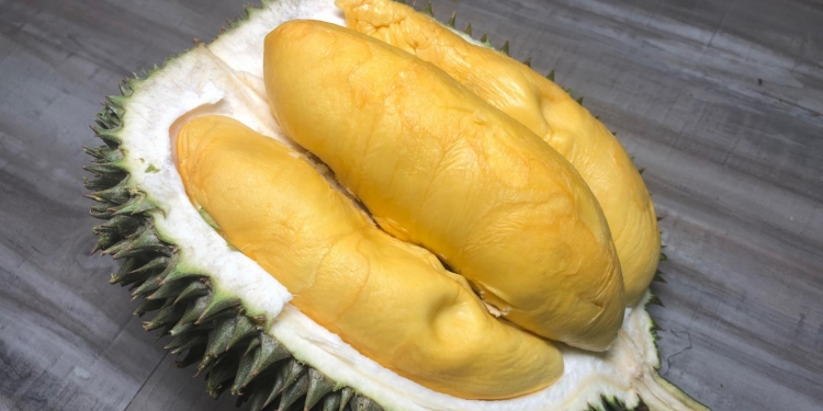 Selamatkah makan durian selepas vaksin?