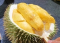 Elak ditipu dalam talian & dapatkan durian asli di kempen Durian e-Fiesta FAMA x Shopee