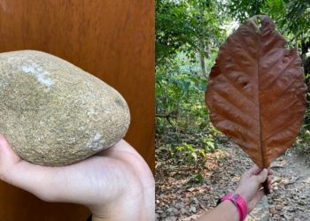 Ribuan batu sungai & daun pokok terjual di Shopee, apa rahsia peniaga ini?