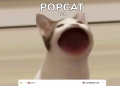 Popcat, permainan santai dalam talian antara carian popular Google Ogos 2021