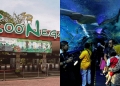 Aquaria dan Zoo Negara dibuka semula 1 Oktober 2021, diskaun tiket masuk 20% menanti pengunjung