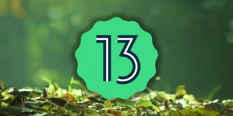 Previu pembangun Android 13 kini boleh digunakan pada 8 peranti Pixel