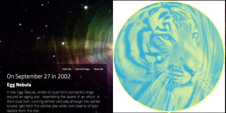 Spiral Betty & Hubble Birthday, 2 trend TikTok ini berada dalam senarai carian popular Google Januari 2022