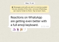 WhatsApp kini ada ribuan reaksi emoji