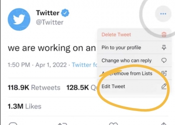Elon Musk akan beri ciri dalam Twitter Blue ini pada semua pengguna, sejauh mana ia berguna?
