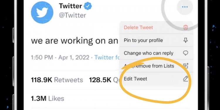 Elon Musk akan beri ciri dalam Twitter Blue ini pada semua pengguna, sejauh mana ia berguna?