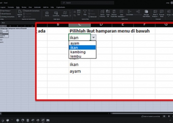 Cara wujudkan menu drop-down di Microsoft Excel