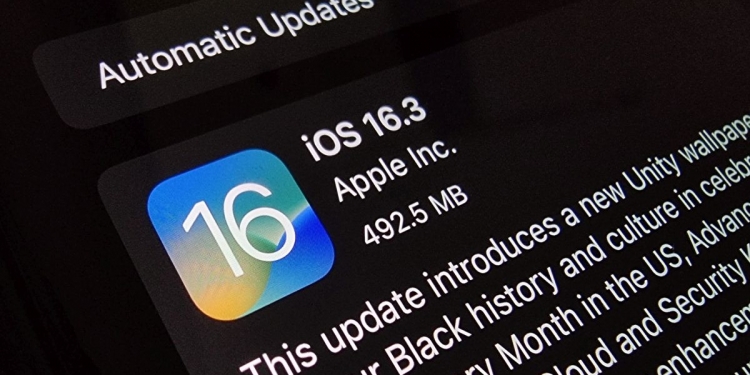 iPhone anda ada isu skrin bergaris? Muat turun iOS 16.3 sekarang