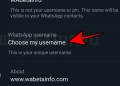 WhatsApp Beta sedang uji ciri username unik untuk gantikan nombor telefon