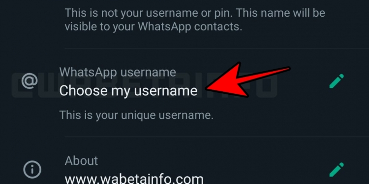 WhatsApp Beta sedang uji ciri username unik untuk gantikan nombor telefon