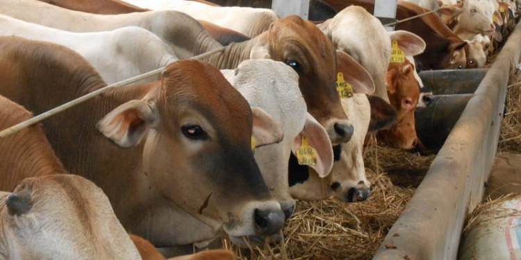 TIPS: 5 platform untuk bayar qurban secara online dalam Malaysia