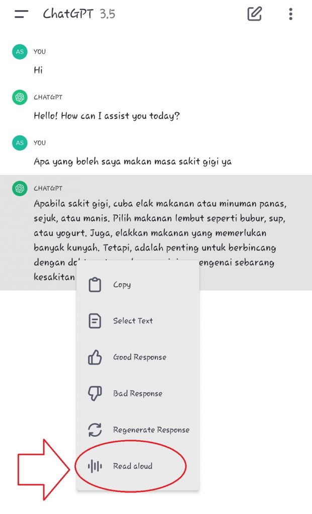 OenAI ChatGPT Baca Teks