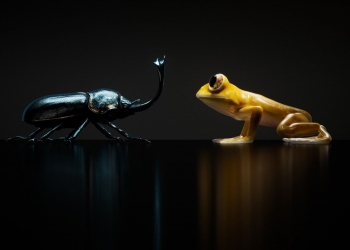 240409 Nothing Ear April