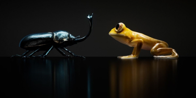 240409 Nothing Ear April