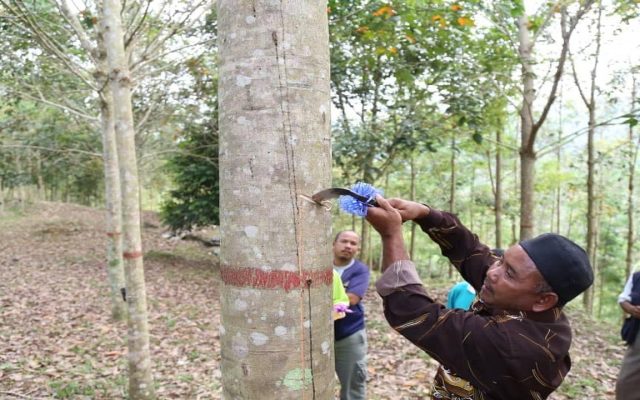 Bantuan Prihatin Nasional: Bayaran tunai BPN fasa pertama 